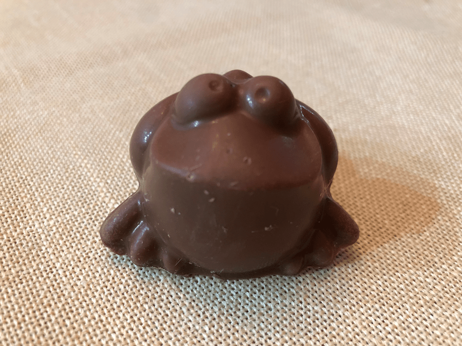 molded chocolate frog