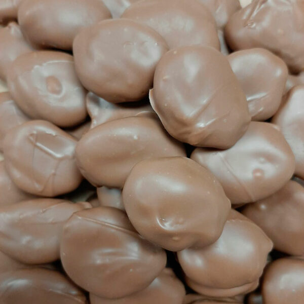 chocolate covered apricots
